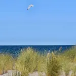 Familiaeres- Charmantes In By Interhome Zingst