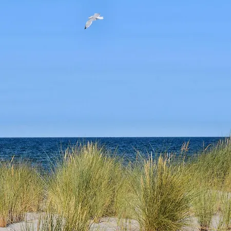 Familiaeres- Charmantes In By Interhome Zingst